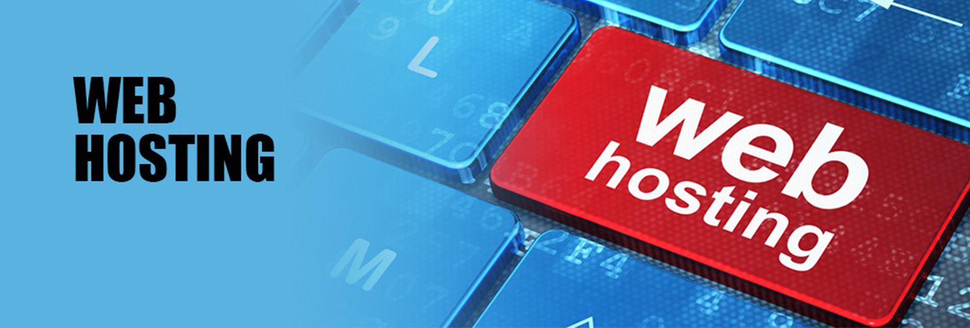Web Hosting